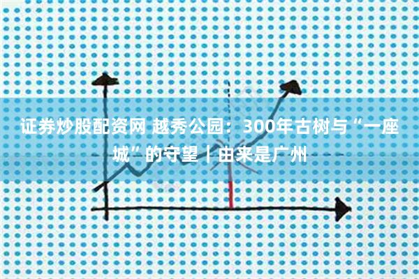 证券炒股配资网 越秀公园：300年古树与“一座城”的守望｜由来是广州