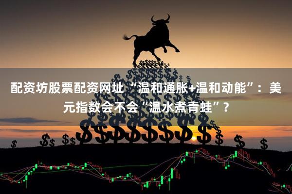 配资坊股票配资网址 “温和通胀+温和动能”：美元指数会不会“温水煮青蛙”？