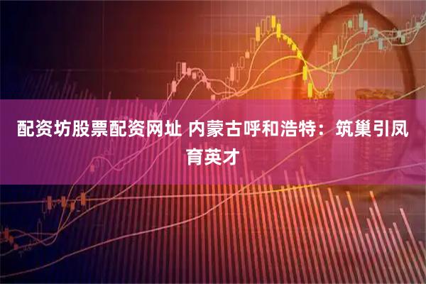 配资坊股票配资网址 内蒙古呼和浩特：筑巢引凤育英才