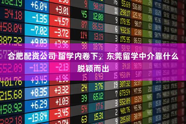 合肥配资公司 留学内卷下，东莞留学中介靠什么脱颖而出