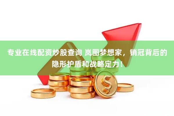 专业在线配资炒股查询 岚图梦想家，销冠背后的隐形护盾和战略定力！