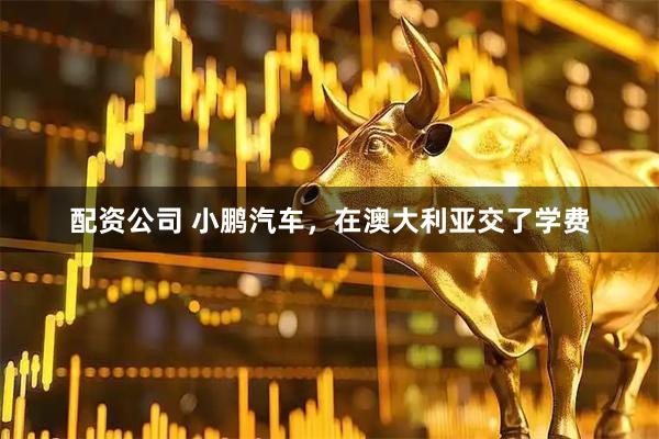 配资公司 小鹏汽车，在澳大利亚交了学费