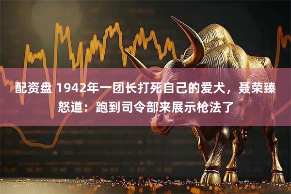 配资盘 1942年一团长打死自己的爱犬，聂荣臻怒道：跑到司令部来展示枪法了